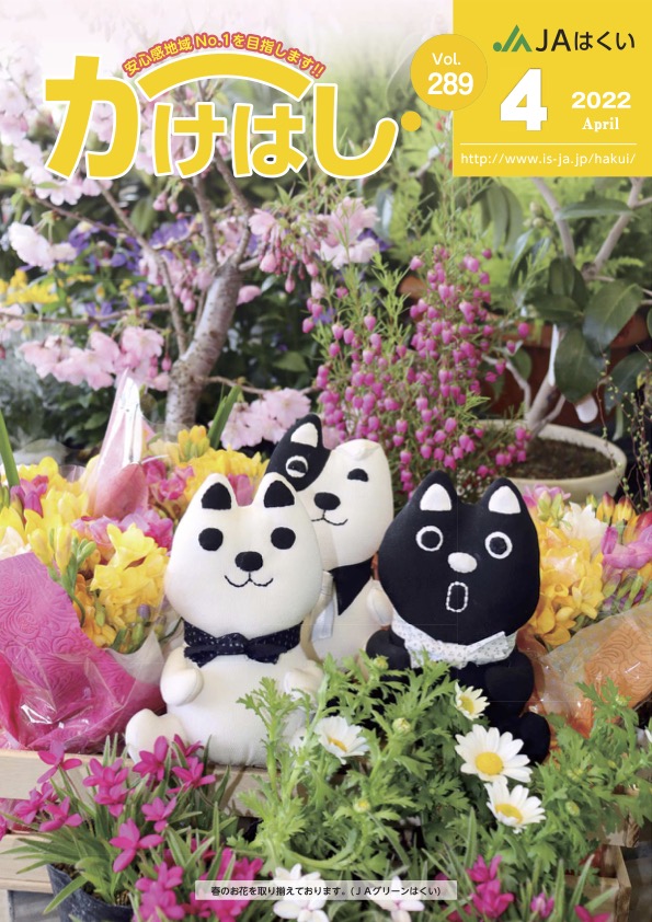 かけはし